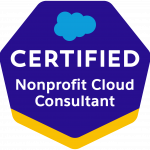 Nonprofit Cloud Consultant